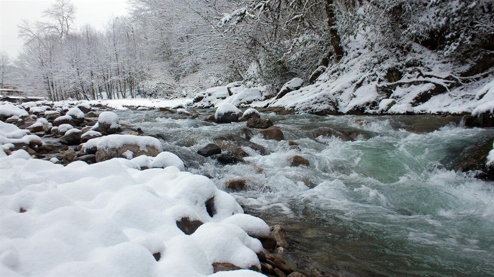 Кавказ зимой куда сходить в горы на выходные Тисо-самшитовая роща,Сочи
